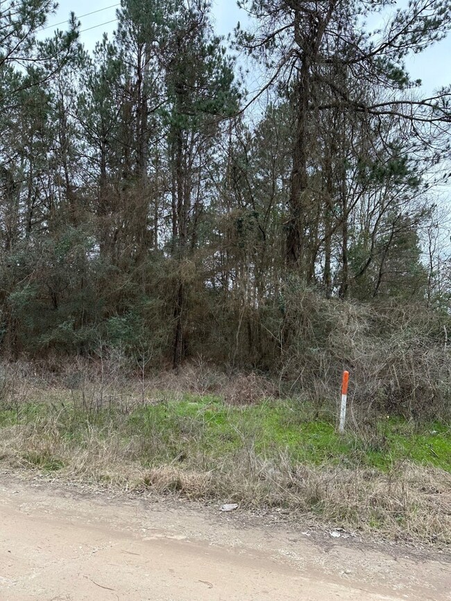 00 Magnolia Spring, Plantersville, TX 77363 - photo 2
