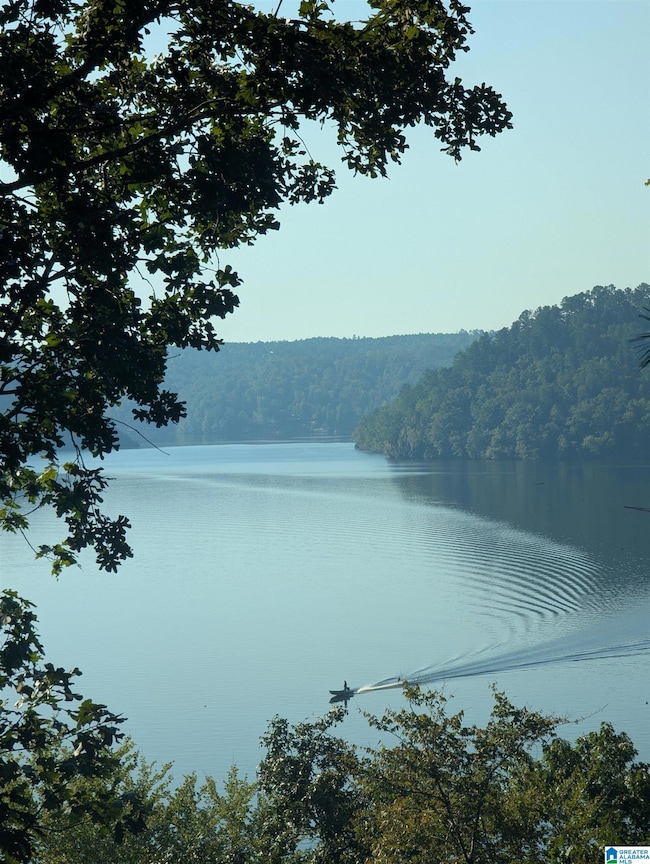 0 County Road 834 unit 3 acre, Clanton, AL 35046 - photo 4