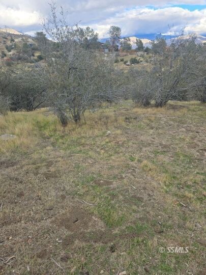 062-241-16 O St, Lake Isabella, CA 93285 - photo 3