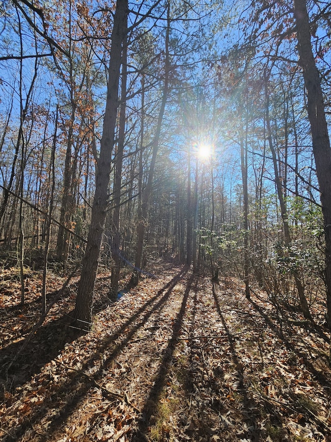 242 Ranger Creek Rd, Coalmont, TN 37313 - photo 4