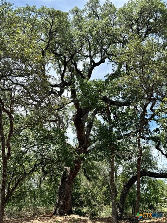 2887 Cr 255 - Family Compound, Georgetown, TX 78633 - photo 2