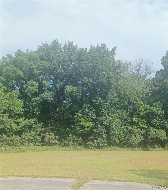 View of grassy yard with a wooded view