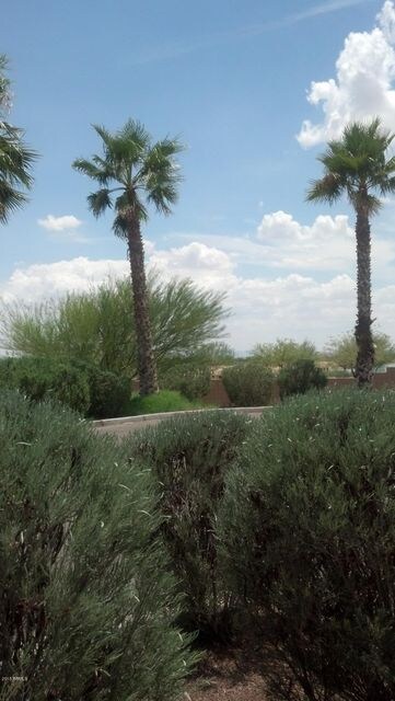 Entrance Landscape partial