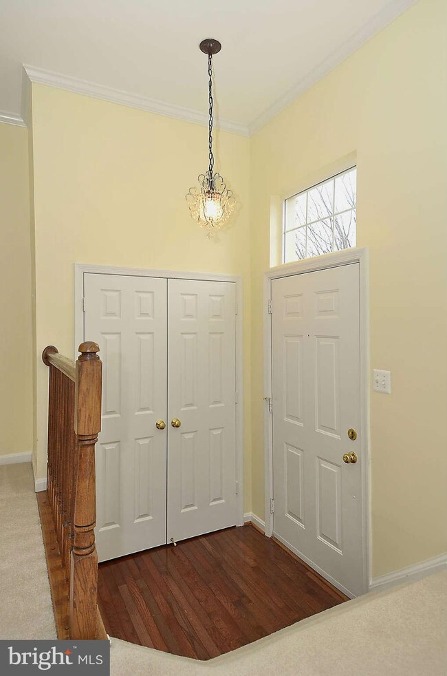 9531 Daniel Lewis Ln, Vienna, VA 22181 - photo 3