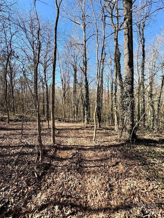 1417 Ellis Griffin Rd, Wingate, NC 28174 - photo 4