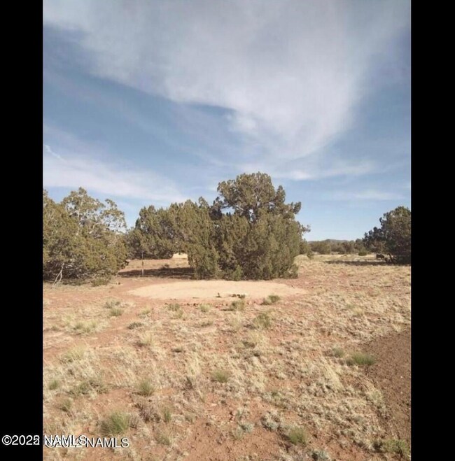 4044 Meadowbrook Dr, Williams, AZ 86046 - photo 6