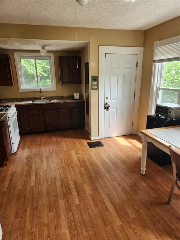 108 Alden St, Springfield, MA 01109 - photo 6