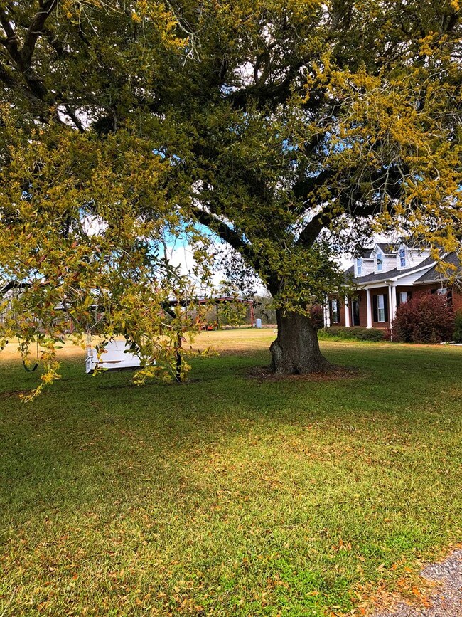 425 Everson Rd, Colquitt, GA 39837 - photo 4