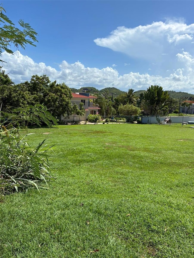 0 Lot-1 Rd-648 Km 1 0 Int Tierras Nuevas, Manati, PR 00674 - photo 3