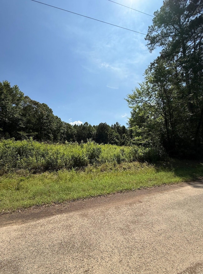 0 Zoar Rd unit Louisiana 71226, Chatham, LA 71226 - photo 4