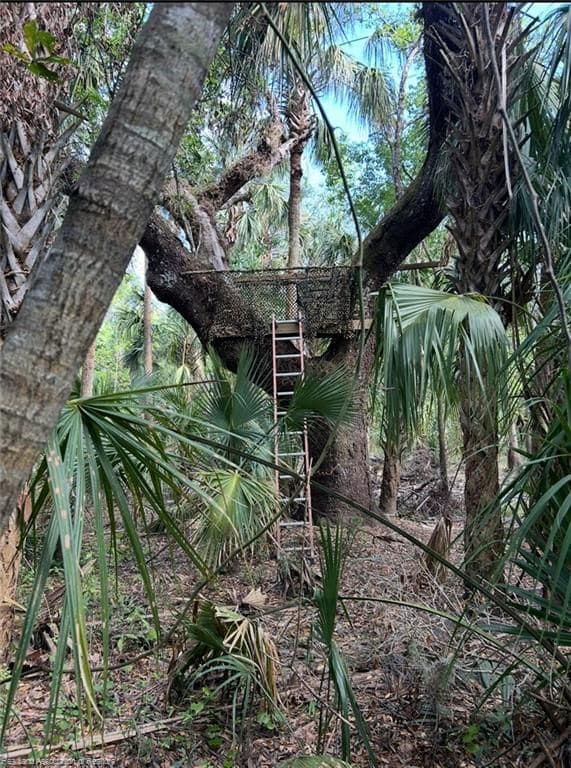 1786 Peace River Woods, Wauchula, FL 33873 - photo 4