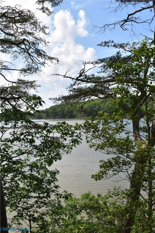 29B-1-8G Bennett Farm Rd, Locust Hill, VA 23092 - photo 2