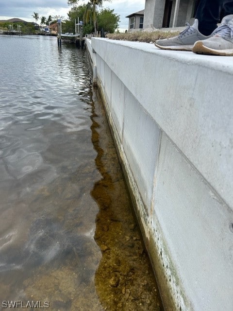 1239 NW 39th Ave, Cape Coral, FL 33993 - photo 2