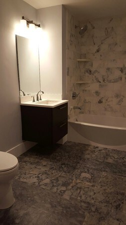 10 Saint George St unit 102, Boston, MA 02118 - photo 4