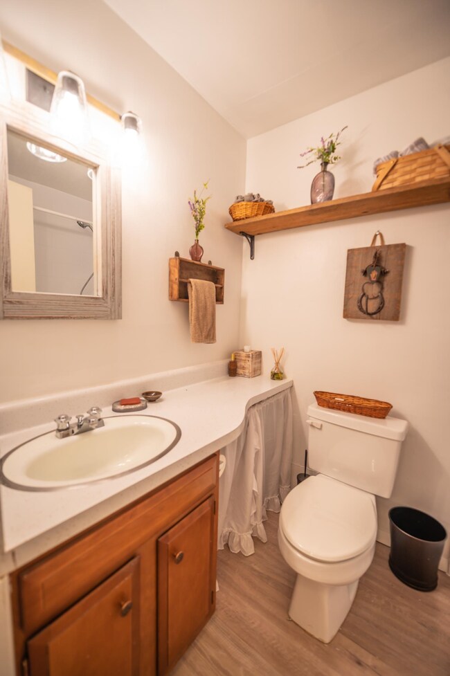 3 Fox Meadow Ln unit 3F, Dover, VT 05356 - photo 5