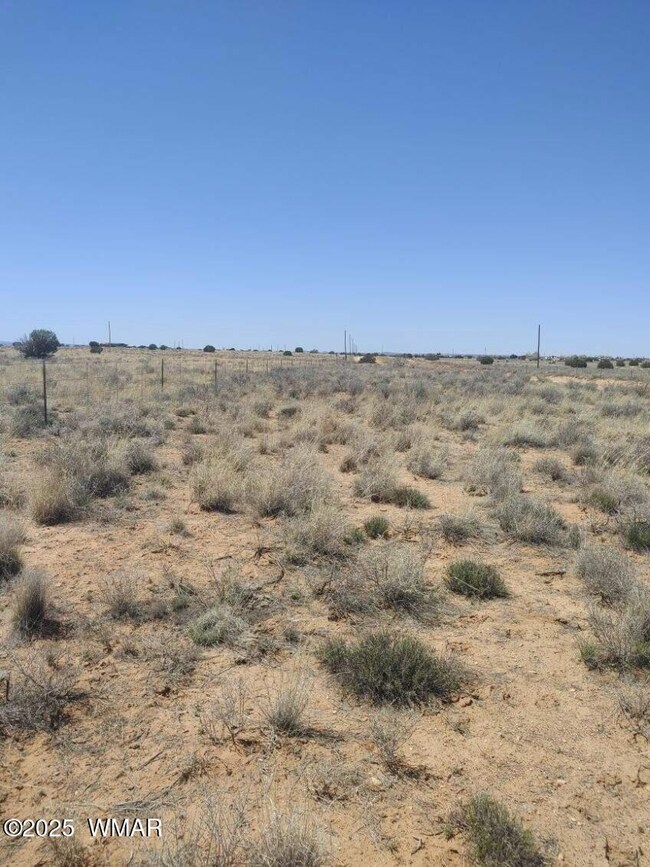image000003