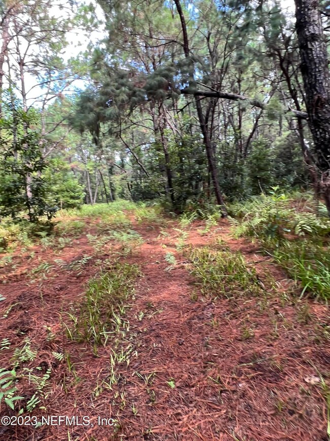 545048E7-C44E-4A76-A2FA-6C9F5CDF11C5