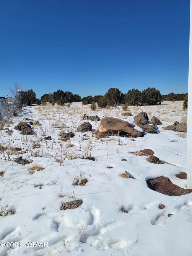 2350 N 16th St, Show Low, AZ 85901 - photo 5