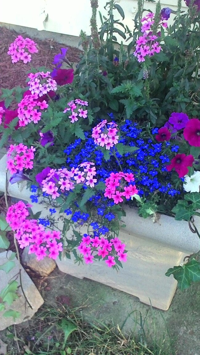 4185 Chandler Dr, Columbus, OH 43213 - photo 3