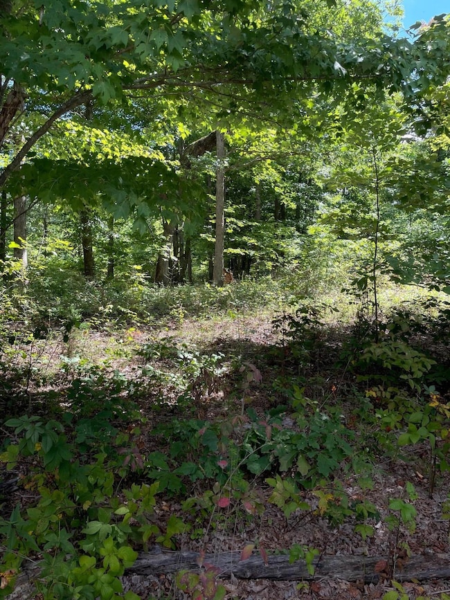 0 Roaring Creek Rd unit 1523586, Dunlap, TN 37327 - photo 6