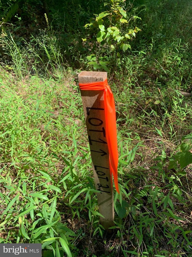 1 Black Oak Rd, Warfordsburg, PA 17267 - photo 5