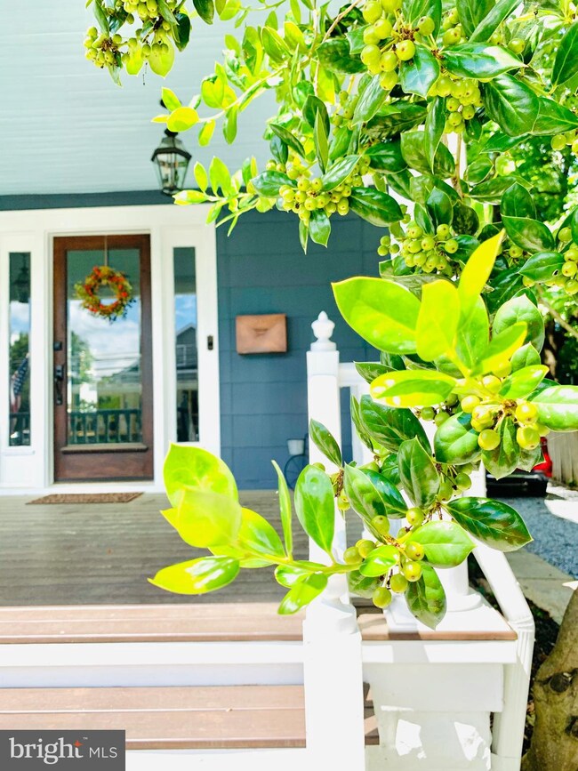 220 W Holly Ave, Pitman, NJ 08071 - photo 5