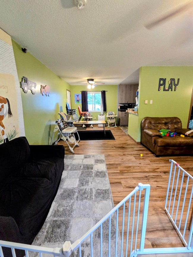 418 E Hamilton, Baudette, MN 56623 - photo 4