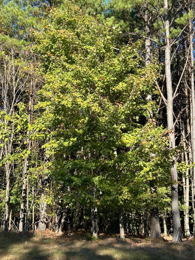 2035 Crockett Pointe, Jasper, TN 37347 - photo 6