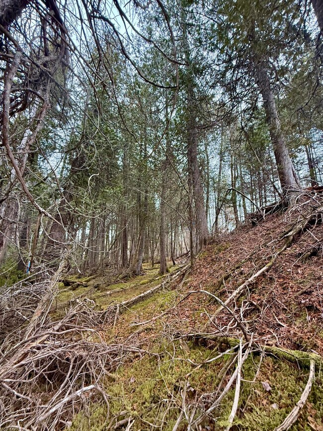 L1 Lively Brook Acres, Whiting, ME 04691 - photo 6