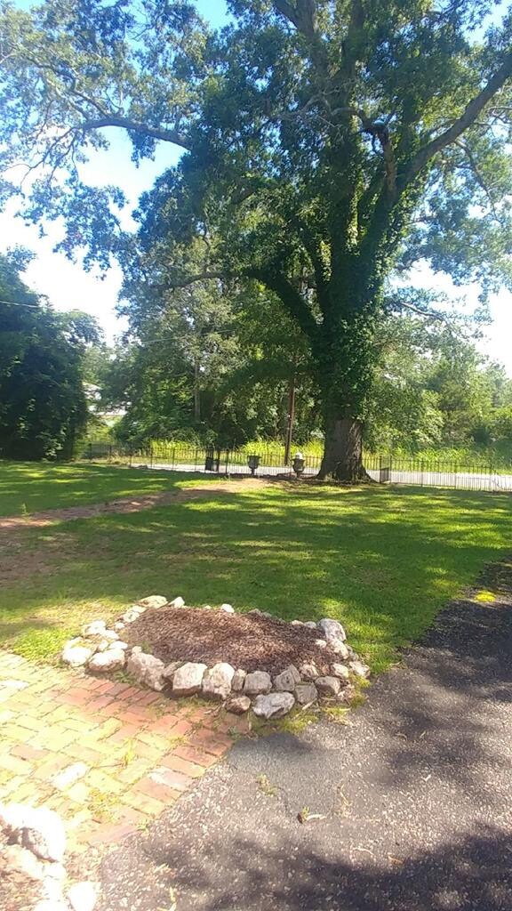 Front Yard