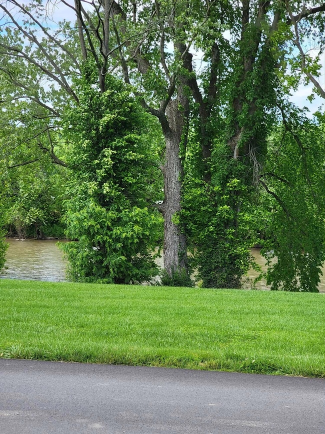 Bracken Creek 2