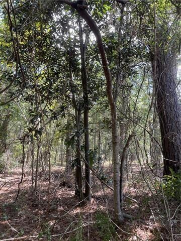 2648 Highway 190, Slidell, LA 70460 - photo 5