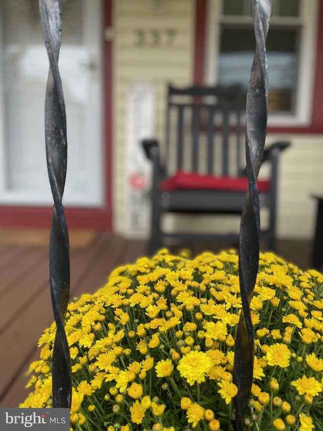 337 S Lincoln Ave, Newtown, PA 18940 - photo 5