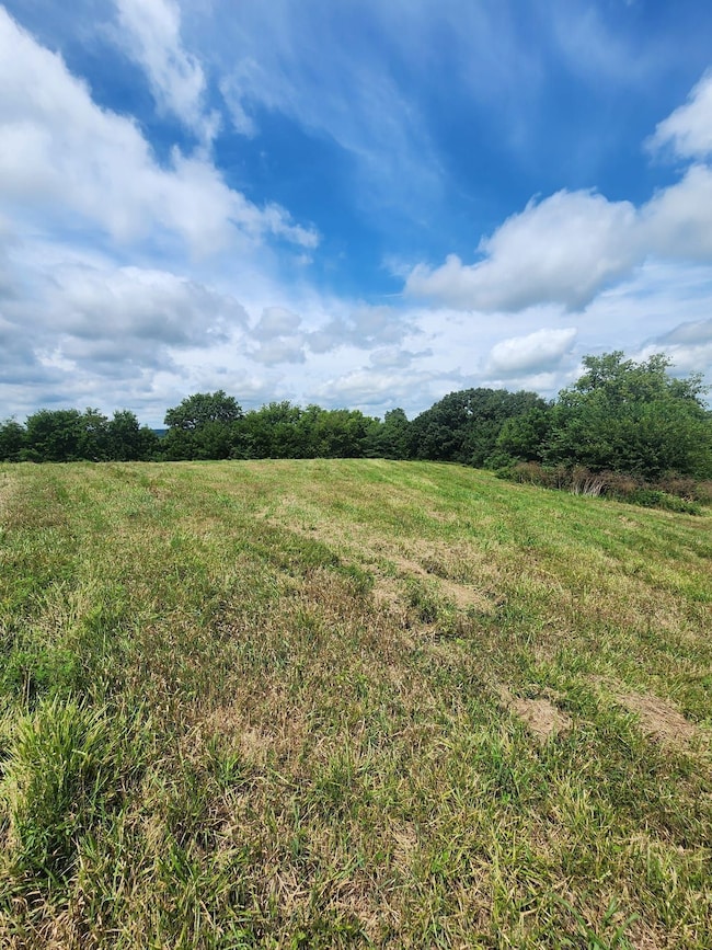 Tbd Mustang Ave, Nelson, MO 65347 - photo 7