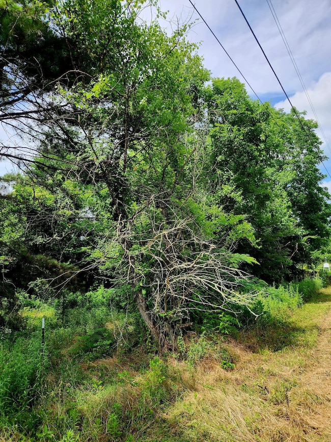 0 River Rd unit 1514772, Decatur, TN 37322 - photo 7