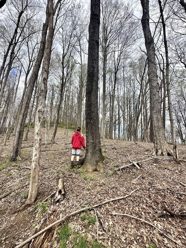 0 Little Kyger Rd, Cheshire, OH 45620 - photo 3