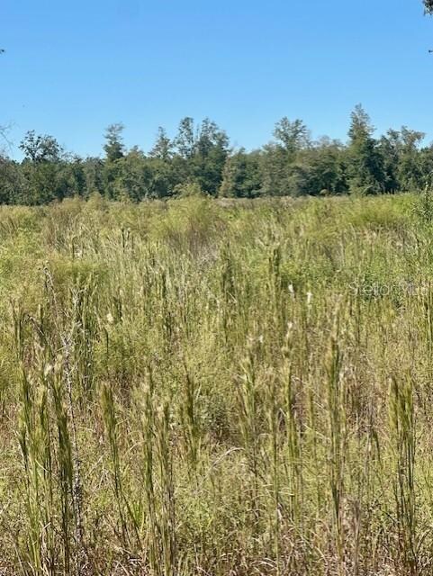 0 NE 35th Ave unit MFRGC535346, Bronson, FL 32621 - photo 5