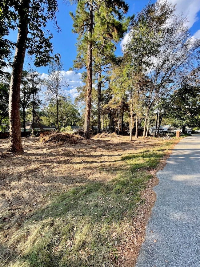 0 Spring Creek Dr unit 85188515, Spring, TX 77373 - photo 4