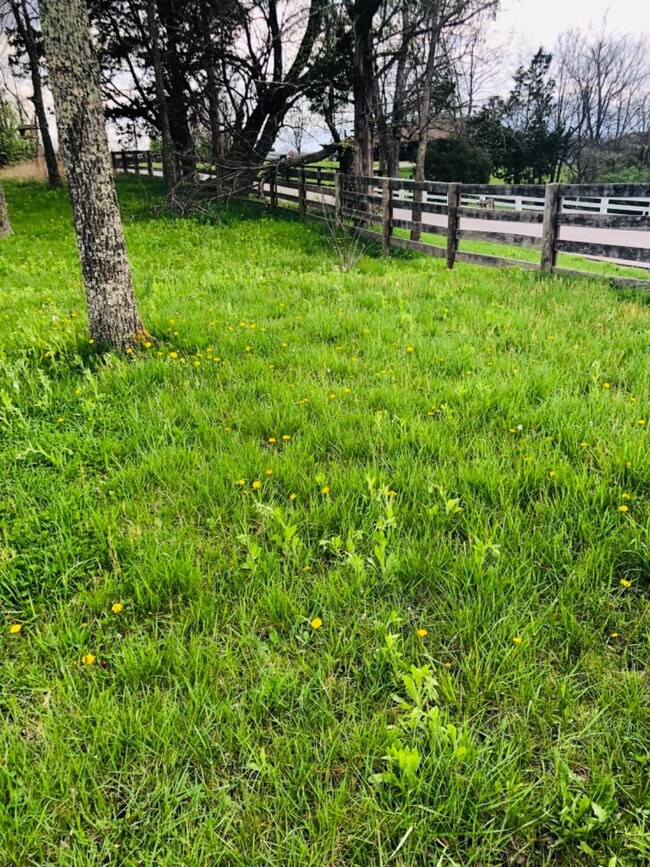 1890 Central Pike, Harrodsburg, KY 40330 - photo 5