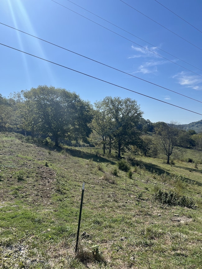 0 Sullivan Bend Rd, Elmwood, TN 38560 - photo 5