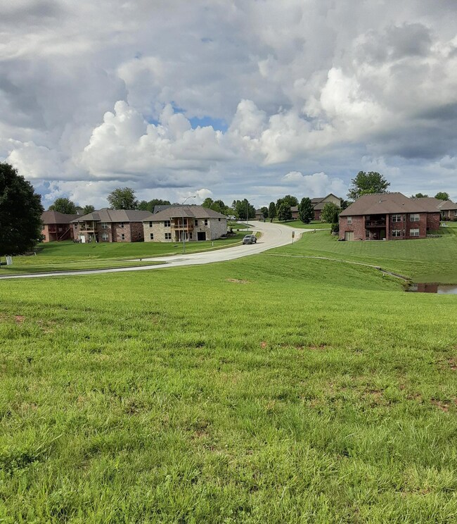 813 E Twin Maple Ct, Nixa, MO 65714 - photo 3