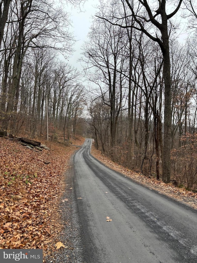 L12 Apple Mountain Lake S, Linden, VA 22642 - photo 4
