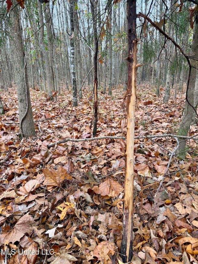 0 Fairview Rd, Charleston, MS 38921 - photo 6