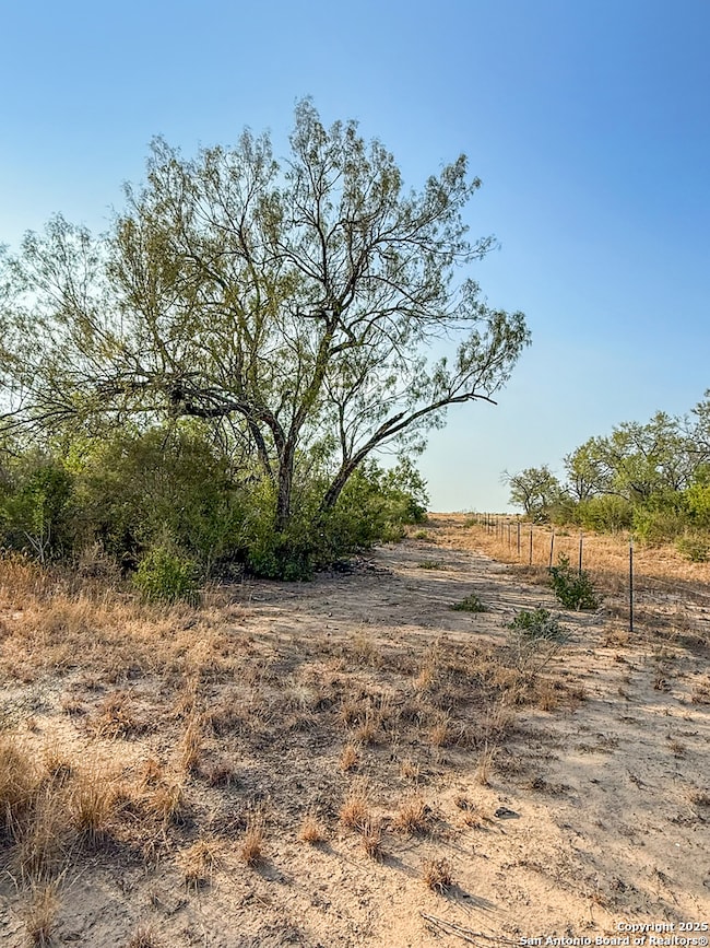6870 County Road 329 (Tract 1), Jourdanton, TX 78026 - photo 6