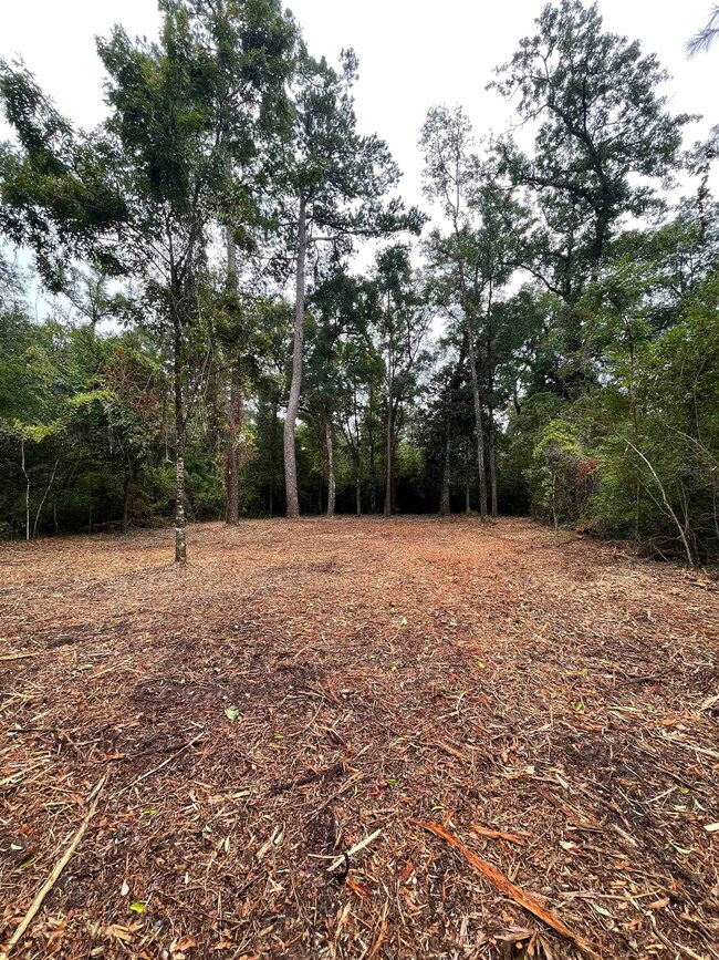 0 Palomino Rd, Crawfordville, FL 32327 - photo 2