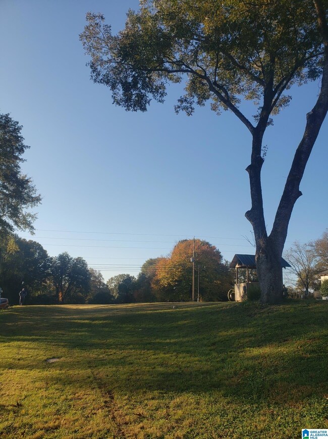 65865 Highway 22, Roanoke, AL 36274 - photo 2