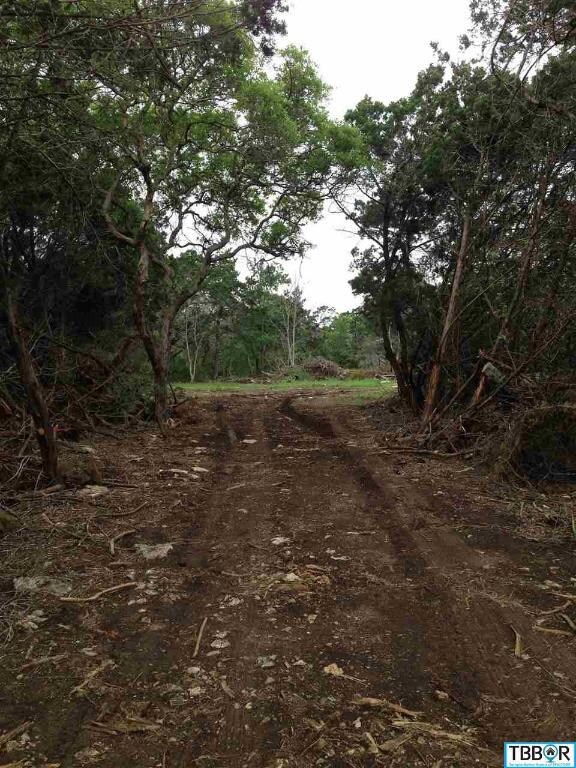 0 Kuykendall Mountain Rd unit 9112864, Temple, TX 76502 - photo 2