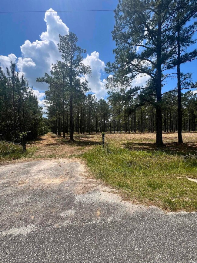 Lot 1 Ashley Cir, Conway, SC 29526 - photo 6