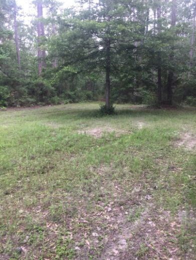 Wildlife Plot