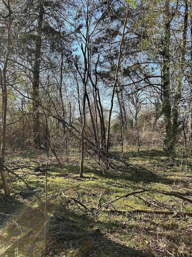 TBD County Road 3324, Pittsburg, TX 75686 - photo 7